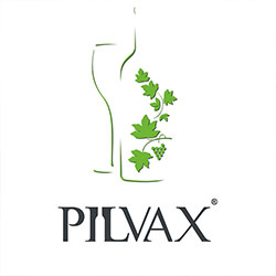 Pilvax